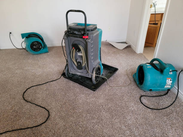 Best Commercial water damage restoration  in Hickory Hls, IL
