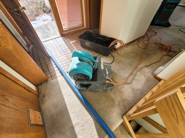 Best 24/7 water damage repair  in Hickory Hls, IL