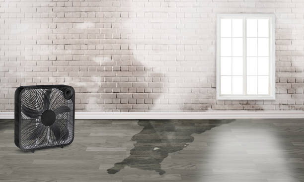 Best Emergency water damage restoration  in Hickory Hls, IL