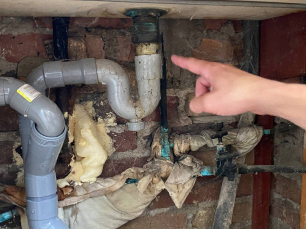 Best Ceiling water damage repair  in Hickory Hls, IL