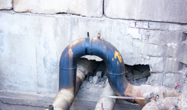 Best Flood restoration services  in Hickory Hls, IL